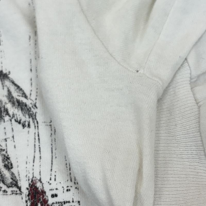 フルーツオブザルーム FRUIT OF THE LOOM Tシャツ 長袖 00年代 ペリカン柄 ビッグサイズ 長袖 Tシャツ ロンT 00s XL 白 / ホワイト / white メンズ USED 古着 中古 50161805