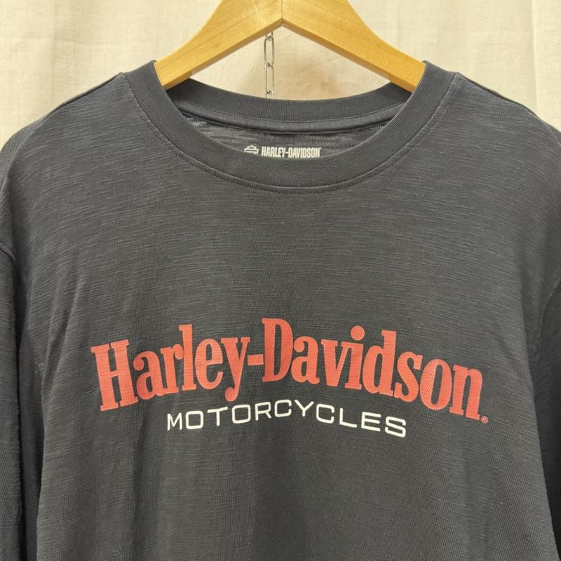 ハーレーダビッドソン Harley-Davidson Tシャツ 長袖 ファイヤーパターン ファイヤーフレーム プリントロンT 袖ロゴ black × red M M ロゴ、文字 黒 / ブラック / black X 赤 / レッド / red メンズ USED 古着 中古 50162049
