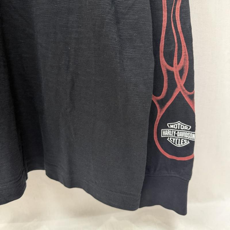 ハーレーダビッドソン Harley-Davidson Tシャツ 長袖 ファイヤーパターン ファイヤーフレーム プリントロンT 袖ロゴ black × red M M ロゴ、文字 黒 / ブラック / black X 赤 / レッド / red メンズ USED 古着 中古 50162049