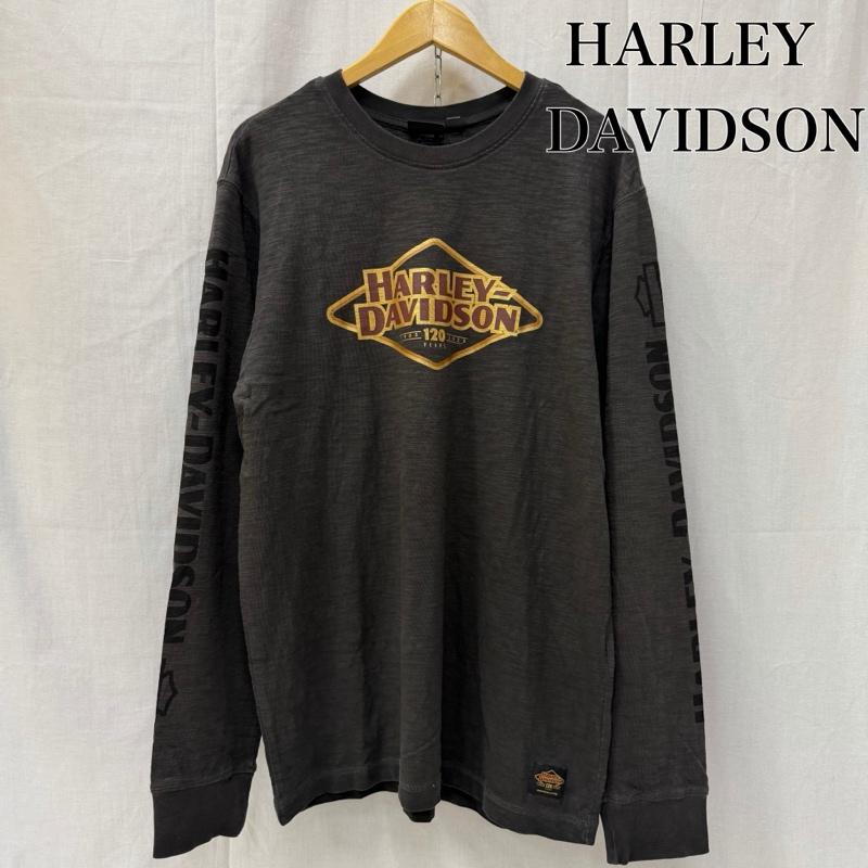 ハーレーダビッドソン Harley-Davidson Tシャツ 長袖 120周年記念モデル ロゴプリント ロンT 袖ロゴ チャコールグレー M M ロゴ、文字 チャコールグレー / チャコールグレー / メンズ USED 古着 中古 50162054