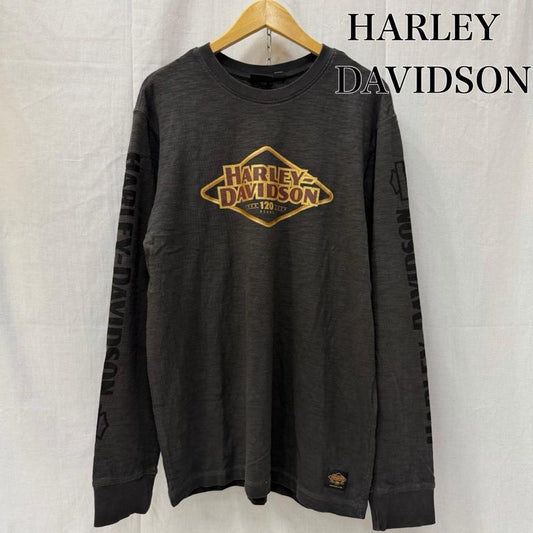 ハーレーダビッドソン Harley-Davidson Tシャツ 長袖 120周年記念モデル ロゴプリント ロンT 袖ロゴ チャコールグレー M M ロゴ、文字 チャコールグレー / チャコールグレー / メンズ USED 古着 中古 50162054