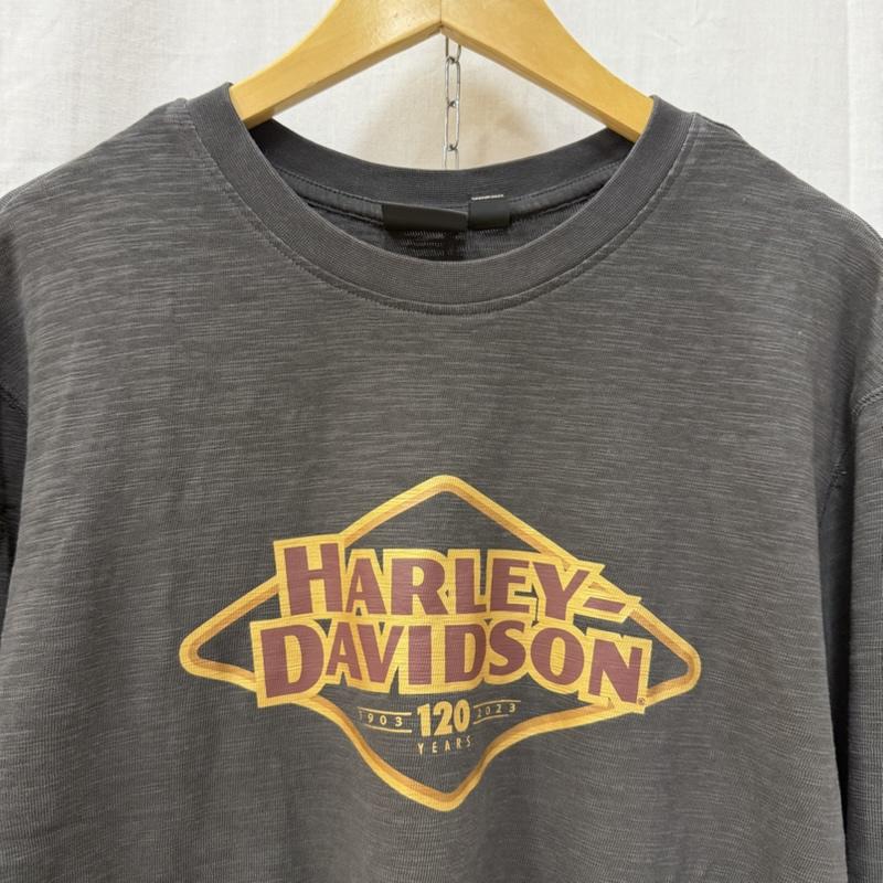 ハーレーダビッドソン Harley-Davidson Tシャツ 長袖 120周年記念モデル ロゴプリント ロンT 袖ロゴ チャコールグレー M M ロゴ、文字 チャコールグレー / チャコールグレー / メンズ USED 古着 中古 50162054