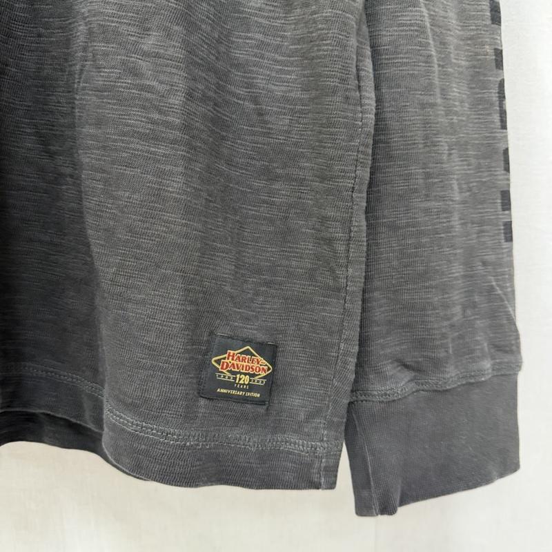ハーレーダビッドソン Harley-Davidson Tシャツ 長袖 120周年記念モデル ロゴプリント ロンT 袖ロゴ チャコールグレー M M ロゴ、文字 チャコールグレー / チャコールグレー / メンズ USED 古着 中古 50162054