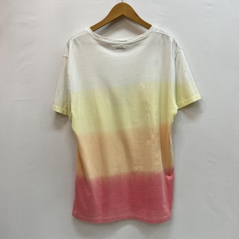 ポロラルフローレン POLO RALPH LAUREN Tシャツ 半袖 ビッグポニー グラデーション Tシャツ カスタムスリムフィット L メンズ USED 古着 中古 50162835