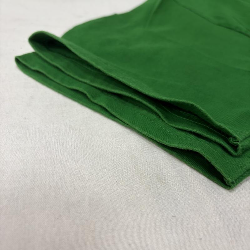 古着 USED Tシャツ 半袖 銀杏BOYZ GING NANG BOYS 初期 プリントTシャツ バンT Green L L ロゴ、文字 緑 / グリーン / green メンズ USED 古着 中古 50164006