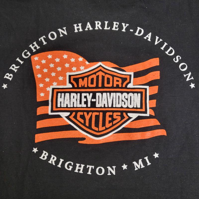 ハーレーダビッドソン Harley-Davidson Tシャツ 半袖 モーターサイクル バイクTシャツ ドクロ バイク M メンズ USED 古着 中古 50164018