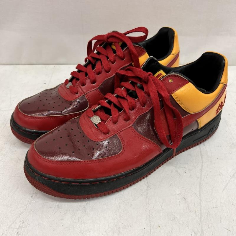ナイキ NIKE スニーカー スニーカー 2004年 AIR FORCE 1 LEBRON CHAMBER OF FEAR 仇敵 311729-661 28.5cm 赤 / レッド / red メンズ USED 古着 中古 50164138