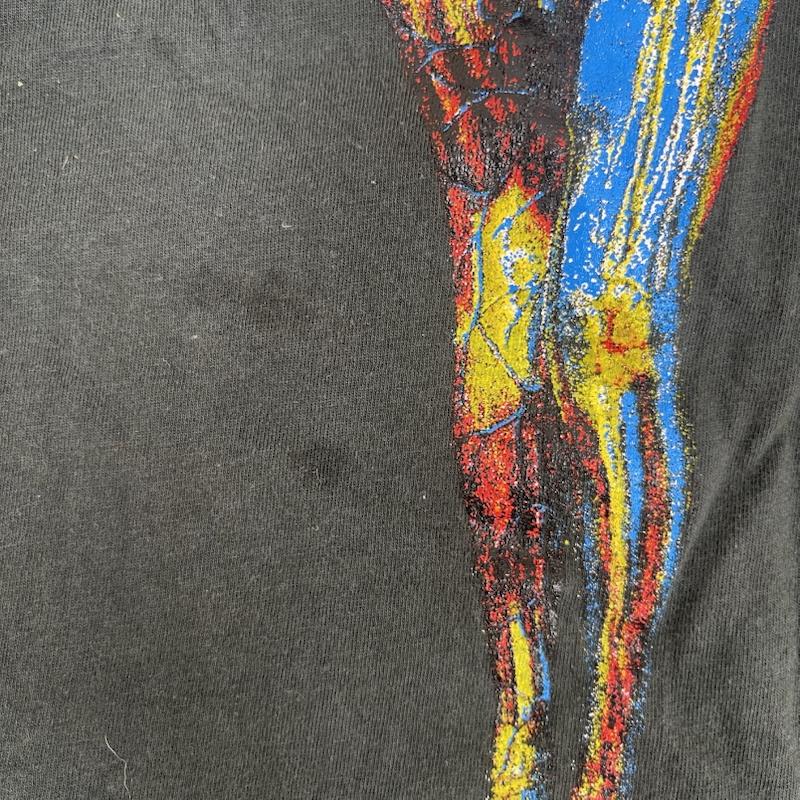 ニルヴァーナ NIRVANA Tシャツ 半袖 BUNNY RABBIT製品 In Utero 有翼の女神 バンド Tシャツ XL チャコールグレー / チャコールグレー / メンズ USED 古着 中古 50164881