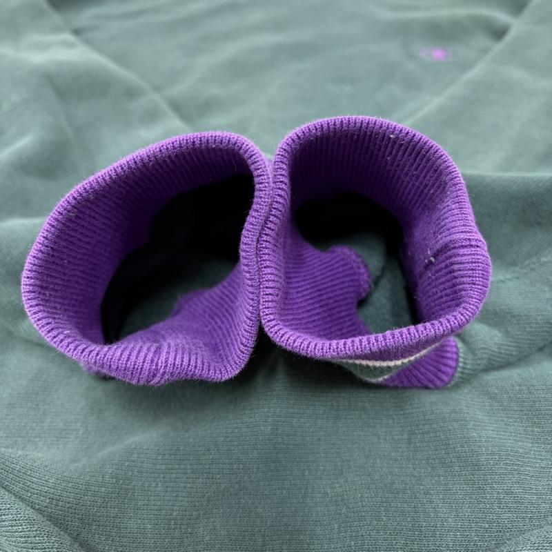 チャンピオン Champion トレーナー 長袖 REVERSEWEAVE リバースウィーブ プルオーバー スウェット トレーナー ロゴ 刺繍 リブライン L ワンポイント X ロゴ、文字 X 刺繍 緑 / グリーン / green X 紫 / パープル / purple メンズ USED 古着 中古 50167277