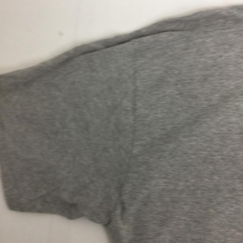 ステューシー STUSSY Tシャツ 半袖 stussy tシャツ シャネルロゴ メキシコ製 L プリント 灰 / グレー / gray メンズ USED 古着 中古 50167839