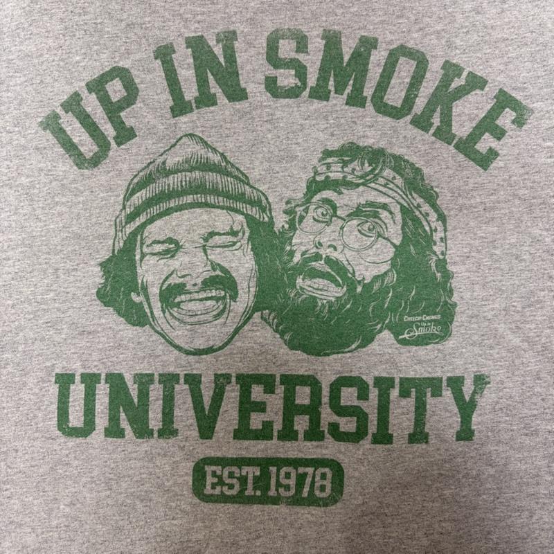 古着 USED Tシャツ 半袖 Cheech & Chong UP IN SMOKE movie Tシャツ gray L カレッジ風デザイン L プリント X キャラクター 灰 / グレー / gray メンズ USED 古着 中古 50168116