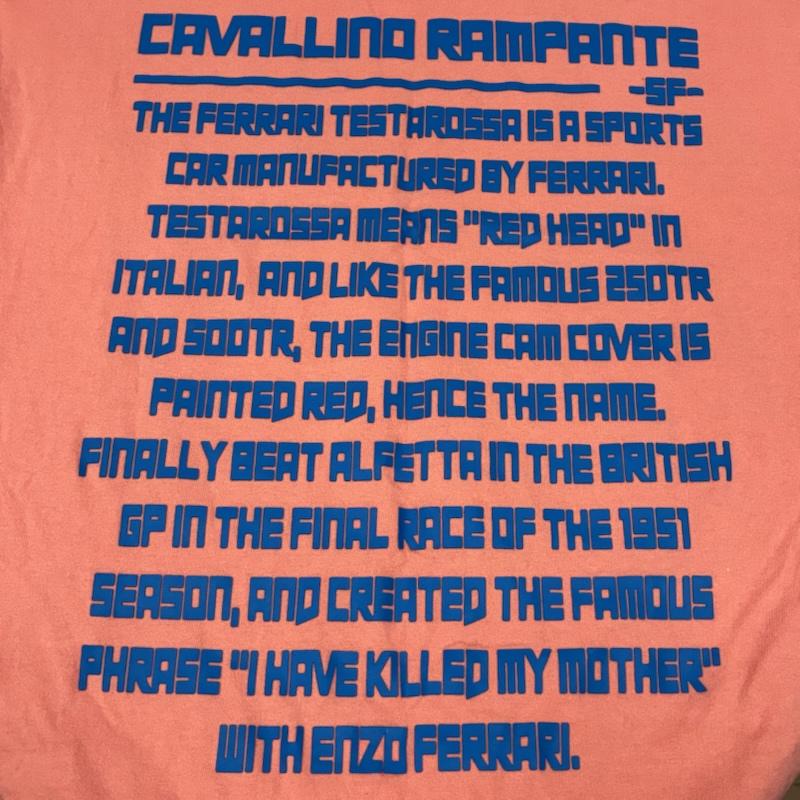 古着 USED Tシャツ 長袖 CVTVLIST カタリスト 2201050301 Testarossa Long Sleeve Tee ロングスリーブ Tシャツ 1 メンズ USED 古着 中古 50169754