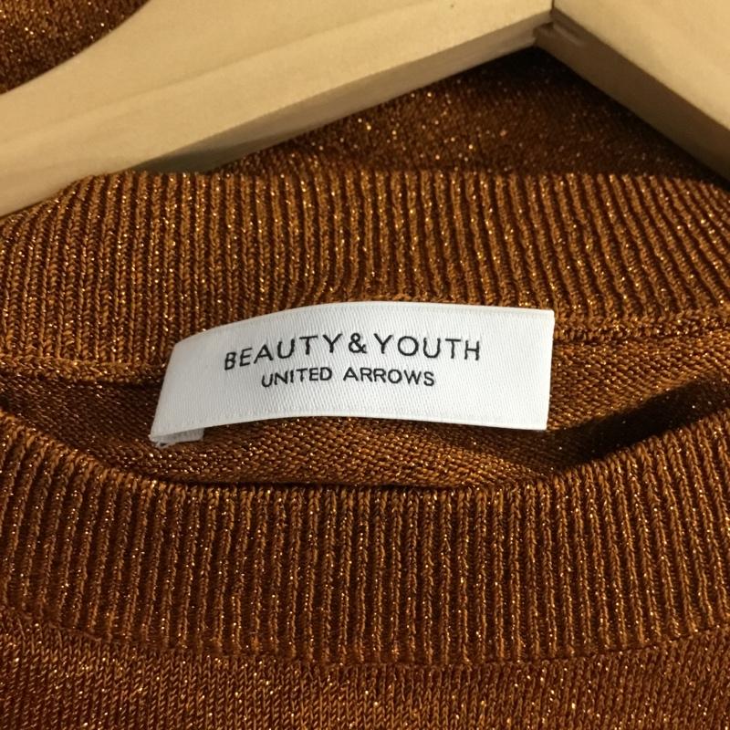 ビューティアンドユースユナイテッドアローズ BEAUTY&YOUTH UNITED ARROWS トップス トップス 1618-105-0316 ラメノースリーブニット 無地 茶 / ブラウン /  レディース USED 古着 中古 10144664