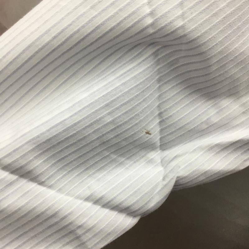 エディーバウアー Eddie Bauer シャツ、ブラウス 長袖 長袖シャツ カラーシャツ ポケットシャツ 長袖カットソー ストライプシャツ S ストライプ マルチカラー / マルチカラー /  メンズ USED 古着 中古 10115112