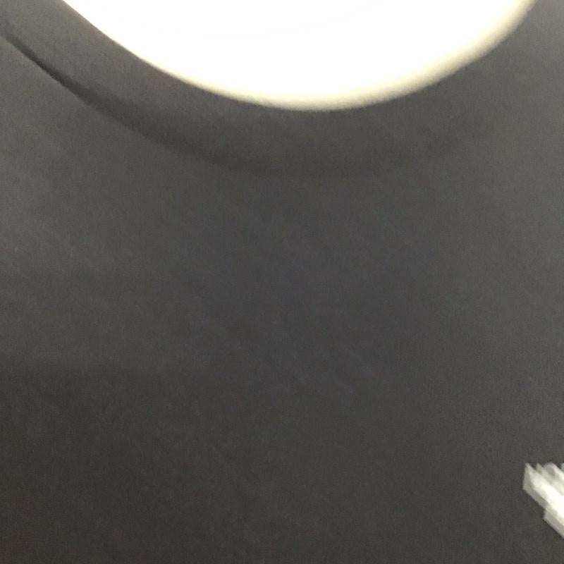 ザノースフェイス THE NORTH FACE Tシャツ 半袖 nt31946 ClimbingLiferTee 半袖カットソー プリントTシャツ クルーネックカットソー L ロゴ、文字 黒 / ブラック /  メンズ USED 古着 中古 10119520