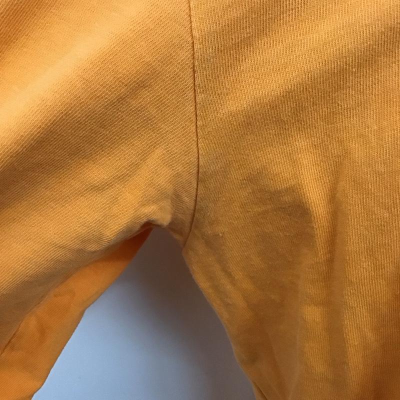 ザノースフェイス THE NORTH FACE カットソー 長袖 長袖カットソー プリントカットソー クルーネック M ロゴ、文字 橙 / オレンジ /  メンズ USED 古着 中古 10124891