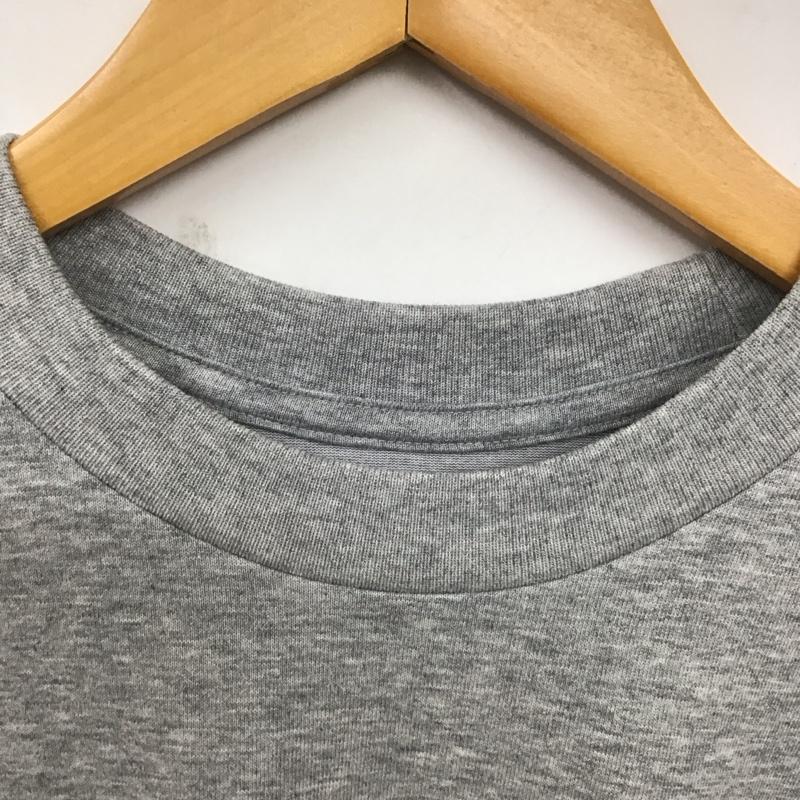 ザノースフェイス THE NORTH FACE Tシャツ 半袖 nt32459 ナチュラルフェノメノン 半袖カットソー プリントTシャツ M ロゴ、文字 灰 / グレー /  メンズ USED 古着 中古 10128700