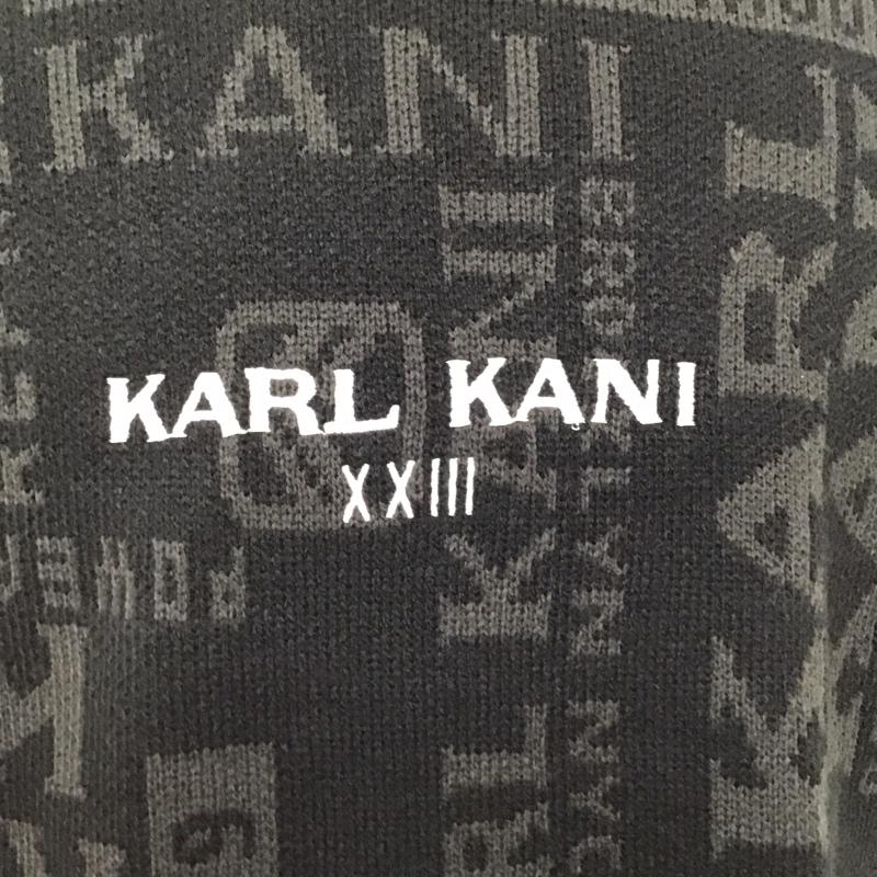 カールカナイ KARL KANI ニット、セーター 長袖 長袖ニットカットソー ニット セーター クルーネックニット L プリント マルチカラー / マルチカラー /  メンズ USED 古着 中古 10120622