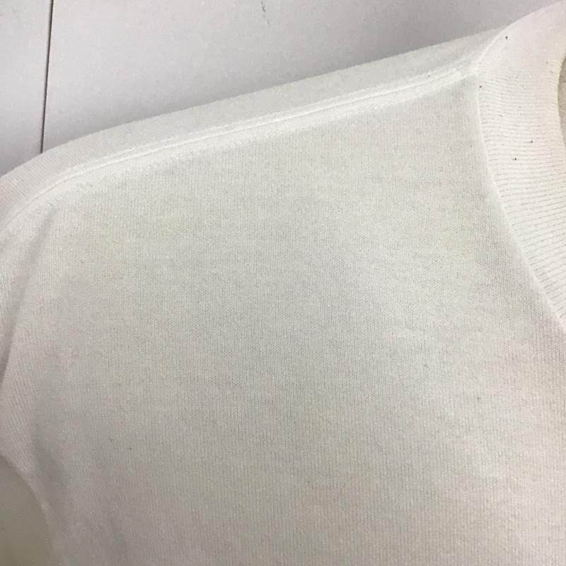 ザノースフェイス THE NORTH FACE Tシャツ 半袖 NT32445 ショートスリーブスモールボックスロゴティー 半袖カットソー L ロゴ、文字 白 / ホワイト /  メンズ USED 古着 中古 10120321