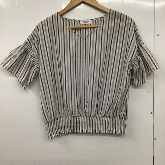 テチチ Techichi カットソー 半袖 FREE ストライプ マルチカラー / マルチカラー /  レディース USED 古着 中古 10149393