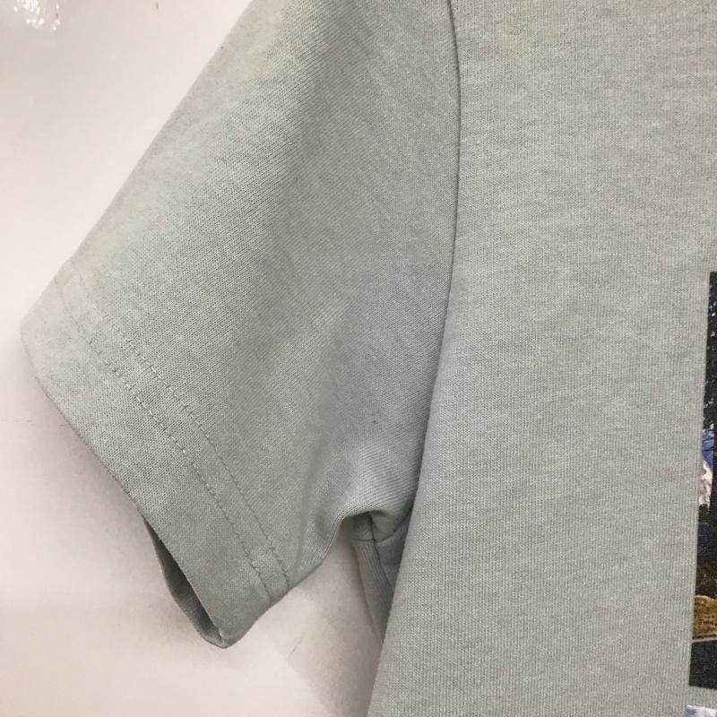 ザノースフェイス THE NORTH FACE Tシャツ 半袖 半袖カットソー プリントTシャツ クルーネックカットソー M プリント 水色 / ライトブルー /  メンズ USED 古着 中古 10132105