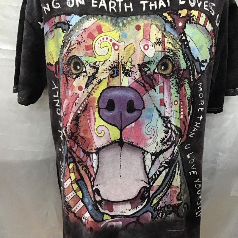 古着 USED Tシャツ 半袖 半袖カットソー プリントTシャツ クルーネックカットソー ディーン・ルッソ L プリント マルチカラー / マルチカラー /  メンズ USED 古着 中古 10117460