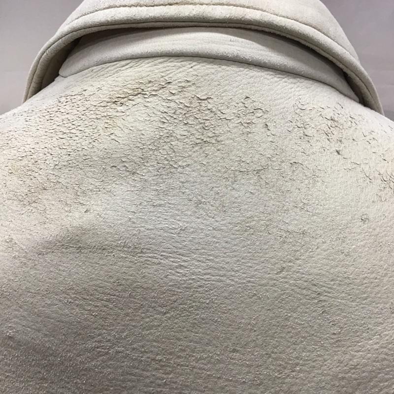 エルクレザー HAYS LEATHERS ジャケット、上着 ジャケット、ブレザー レザージャケット カジュアルジャケット 前ボタン 無地 灰 / グレー /  メンズ USED 古着 中古 10111323