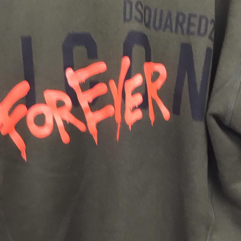 ディースクエアード DSQUARED2 パーカー 長袖 長袖パーカー プルオーバーパーカー スウェット L ロゴ、文字 カーキ / カーキ /  メンズ USED 古着 中古 10148758