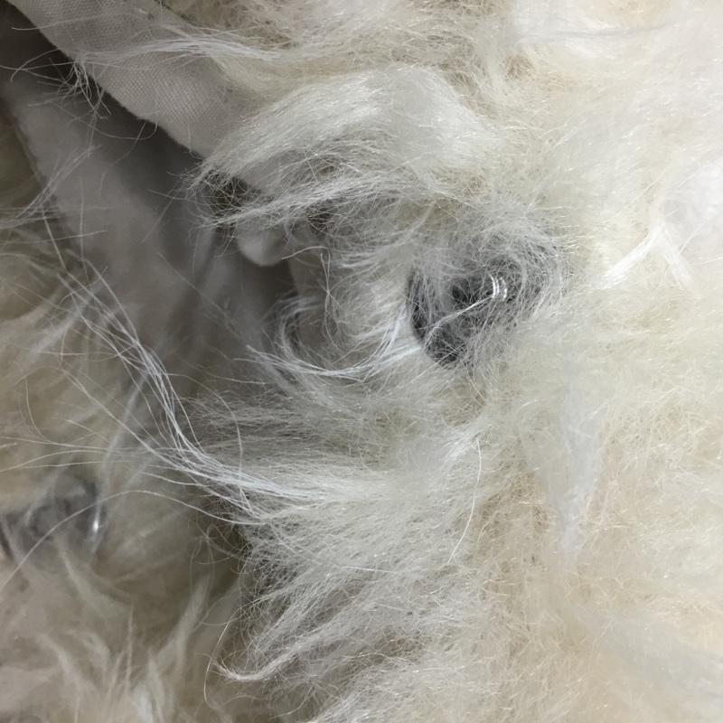 カスタネ Kastane ショルダーバッグ ショルダーバッグ ロングファーバッグ フェイクファー 無地 アイボリー / アイボリー /  レディース USED 古着 中古 10142841