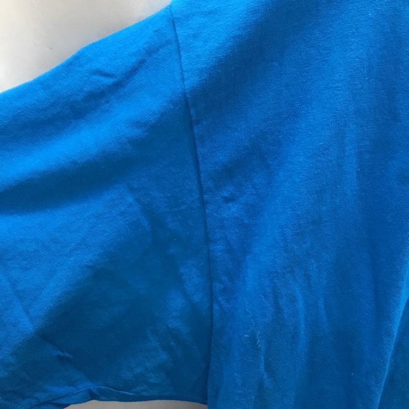 フルーツオブザルーム FRUIT OF THE LOOM Tシャツ 半袖 クルーネック L 無地 青 / ブルー /  メンズ USED 古着 中古 10117769