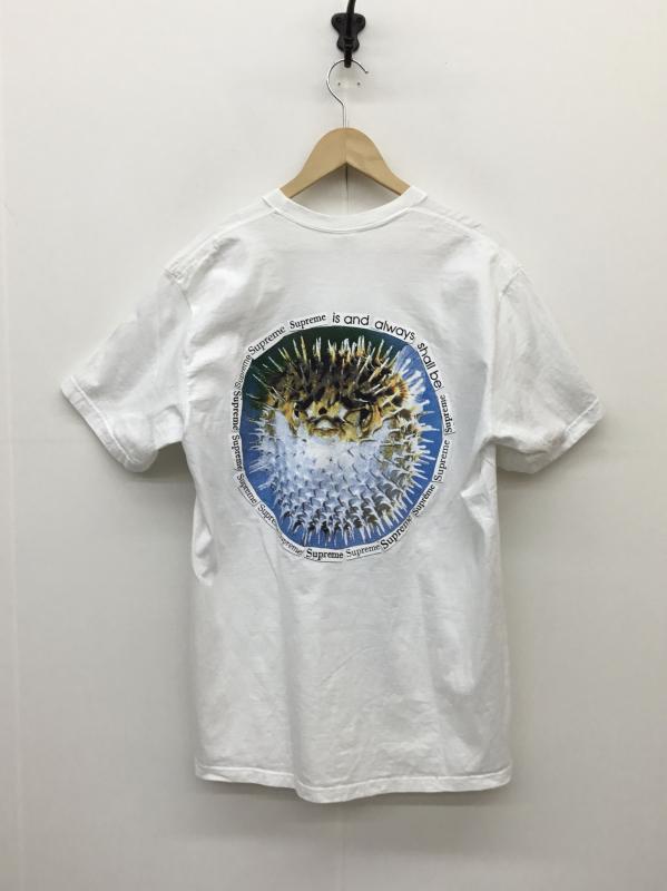 シュプリーム Supreme Tシャツ 半袖 Supreme Blowfish Tee L プリント 白 / ホワイト /  メンズ USED 古着 中古 10127171