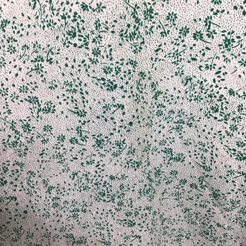 カスタネ Kastane ワンピース ロングスカート 長袖ロングワンピース ノーカラーシャツワンピース フレアスカート FREE プリント 白 / ホワイト / X 緑 / グリーン /  レディース USED 古着 中古 10146474