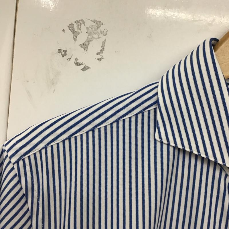 グリーンレーベルリラクシング green label relaxing シャツ、ブラウス 半袖 半袖シャツ ストライプシャツ カラーシャツ ストライプ 白 / ホワイト / X 青 / ブルー /  メンズ USED 古着 中古 10130008