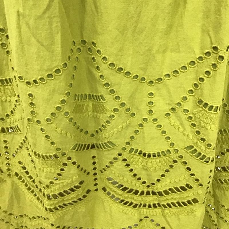 アズールバイマウジー AZUL BY MOUSSY スカート ロングスカート 250CSM31-409D COTTON LACE FLARE MAXI SK タグ付き M 刺繍 薄緑 / ライトグリーン /  レディース USED 古着 中古 10119378