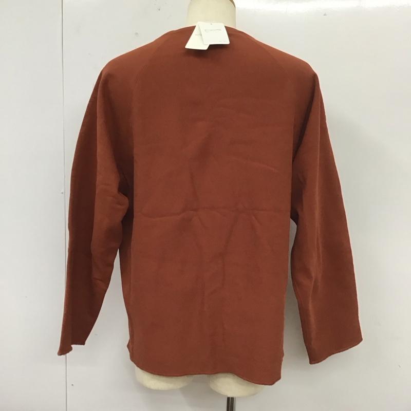 ユナイテッドアローズグリーンレーベルリラクシング UNITED ARROWS green label relaxing トレーナー 長袖 3212-175-2502-4970 ソフトダンボール クルーネック トップス 長袖トレーナー L 無地 茶 / ブラウン /  メンズ USED 古着 中古 10112698