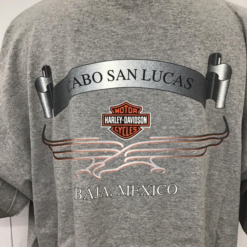 ハーレーダビッドソン Harley-Davidson Tシャツ 半袖 クルーネック バックプリント 2XL ロゴ、文字 灰 / グレー /  メンズ USED 古着 中古 10107651