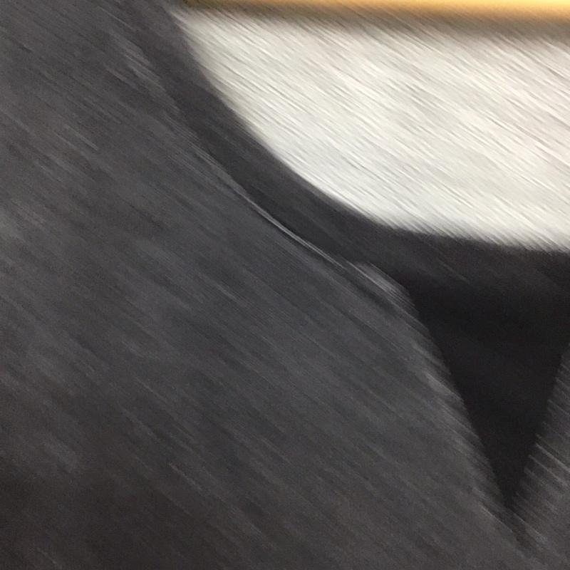 イッカ ikka ワンピース ひざ丈スカート 七分袖 スウェット切替 L 無地 黒 / ブラック /  レディース USED 古着 中古 10119256