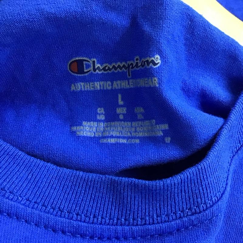 チャンピオン Champion Tシャツ 半袖 半袖カットソー プリントTシャツ クルーネックカットソー L 無地 青 / ブルー /  メンズ USED 古着 中古 10150934