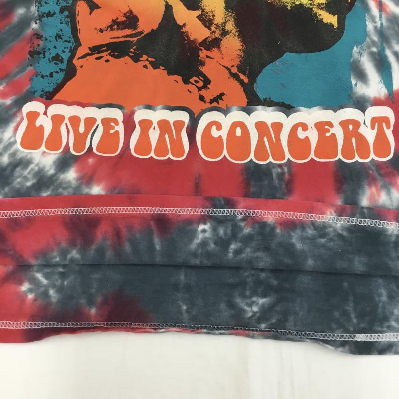 ユーズドクロージング used clothes Tシャツ 半袖 Jimi Hendrix　ジミ・ヘンドリックス タイダイ柄 XXL 総柄 灰 / グレー / X 赤 / レッド /  メンズ USED 古着 中古 10129331