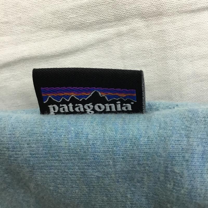 パタゴニア patagonia トレーナー 長袖 39486FA17 S ロゴ、文字 水色 / ライトブルー /  メンズ USED 古着 中古 10141448