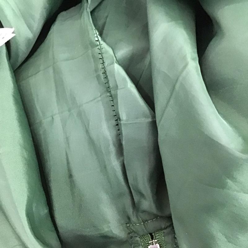 ジーナシス JEANASIS スカート ロングスカート ロングスカート フレアスカート スウェード M 無地 緑 / グリーン /  レディース USED 古着 中古 10129802