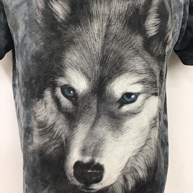 古着 USED Tシャツ 半袖 半袖カットソー プリントTシャツ クルーネックカットソー M プリント マルチカラー / マルチカラー /  メンズ USED 古着 中古 10117257