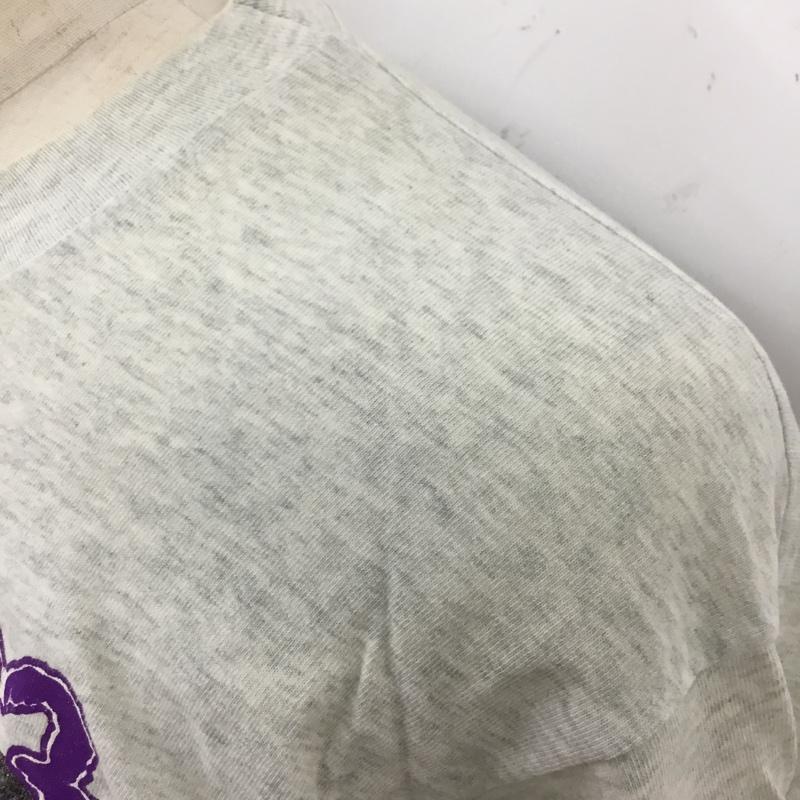 フルーツオブザルーム FRUIT OF THE LOOM Tシャツ 半袖 DEMOLITION23 バンドTシャツ L プリント 灰 / グレー /  メンズ USED 古着 中古 10119851