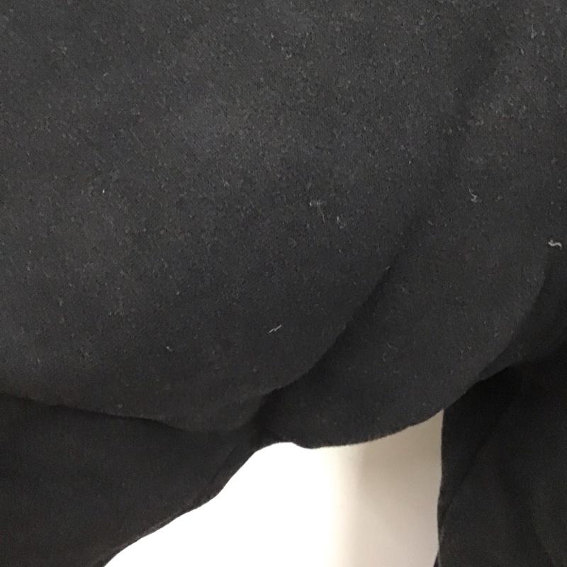ステューシー STUSSY パーカー 長袖 長袖パーカー フード付きパーカー プリントスウェット トレーナー L ロゴ、文字 黒 / ブラック /  メンズ USED 古着 中古 10117654