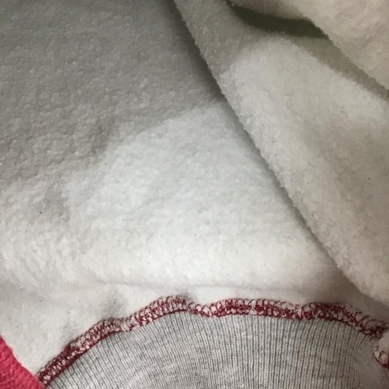 チャンピオン Champion パーカー 長袖 長袖パーカー プルオーバーパーカー スウェット L ロゴ、文字 灰 / グレー /  メンズ USED 古着 中古 10149018