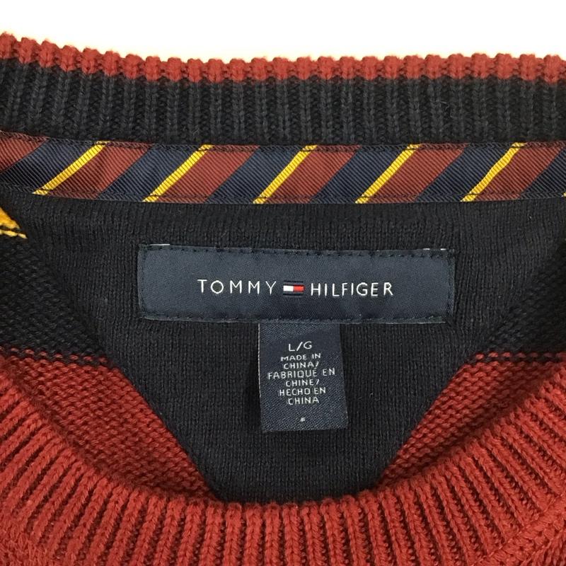 トミーヒルフィガー TOMMY HILFIGER ニット、セーター 長袖 長袖ニットカットソー クルーネックカットソー セーター ボーダーニットカットソー L ボーダー柄 マルチカラー / マルチカラー /  メンズ USED 古着 中古 10111325