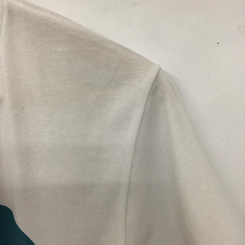 ザノースフェイス THE NORTH FACE Tシャツ 半袖 nt31621 ColorfulLogoTee 半袖カットソー プリントTシャツ M ロゴ、文字 白 / ホワイト /  メンズ USED 古着 中古 10129026