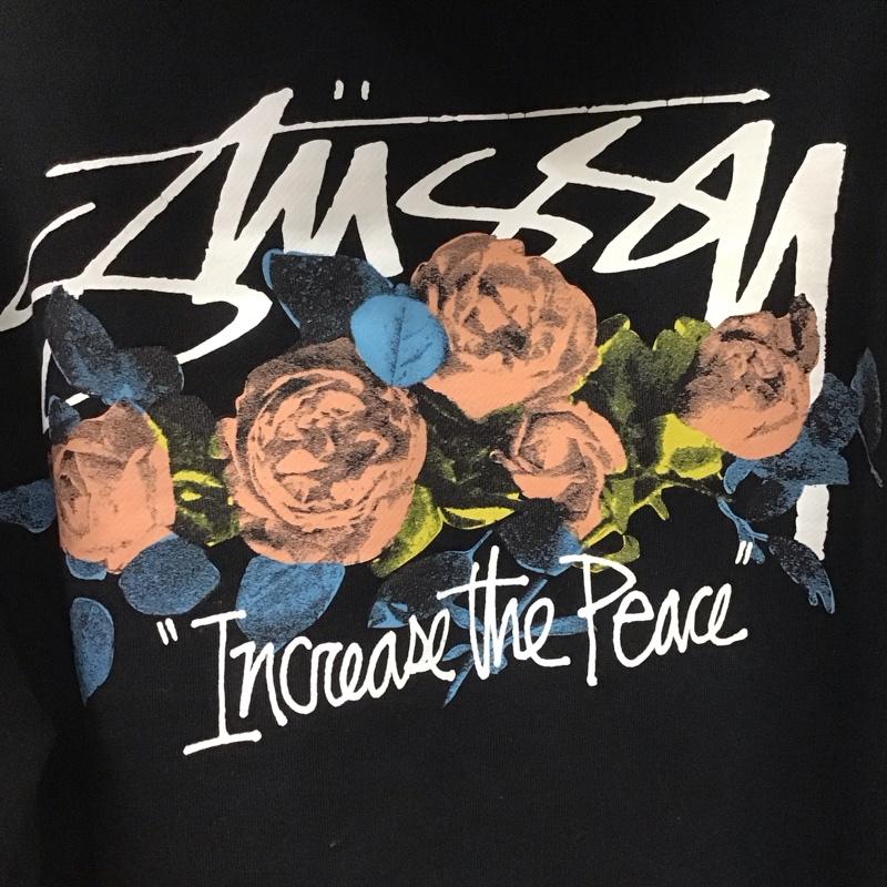 ステューシー STUSSY パーカー 長袖 長袖パーカー プルオーバーパーカー スウェット L ロゴ、文字 黒 / ブラック /  メンズ USED 古着 中古 10142614