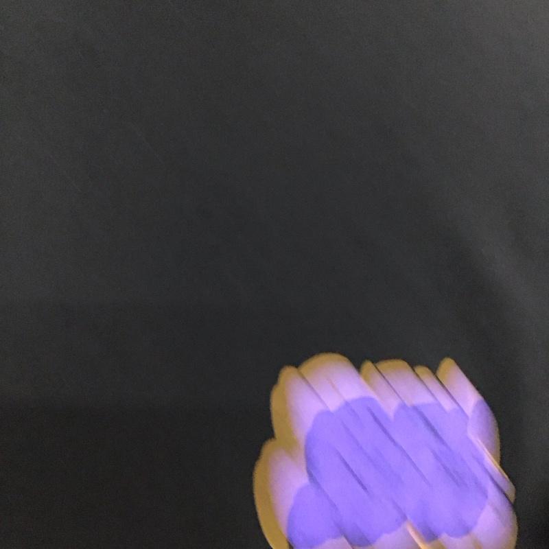 ベンデイビス BEN DAVIS Tシャツ 半袖 半袖カットソー プリントTシャツ クルーネックカットソー L ロゴ、文字 黒 / ブラック /  メンズ USED 古着 中古 10125112