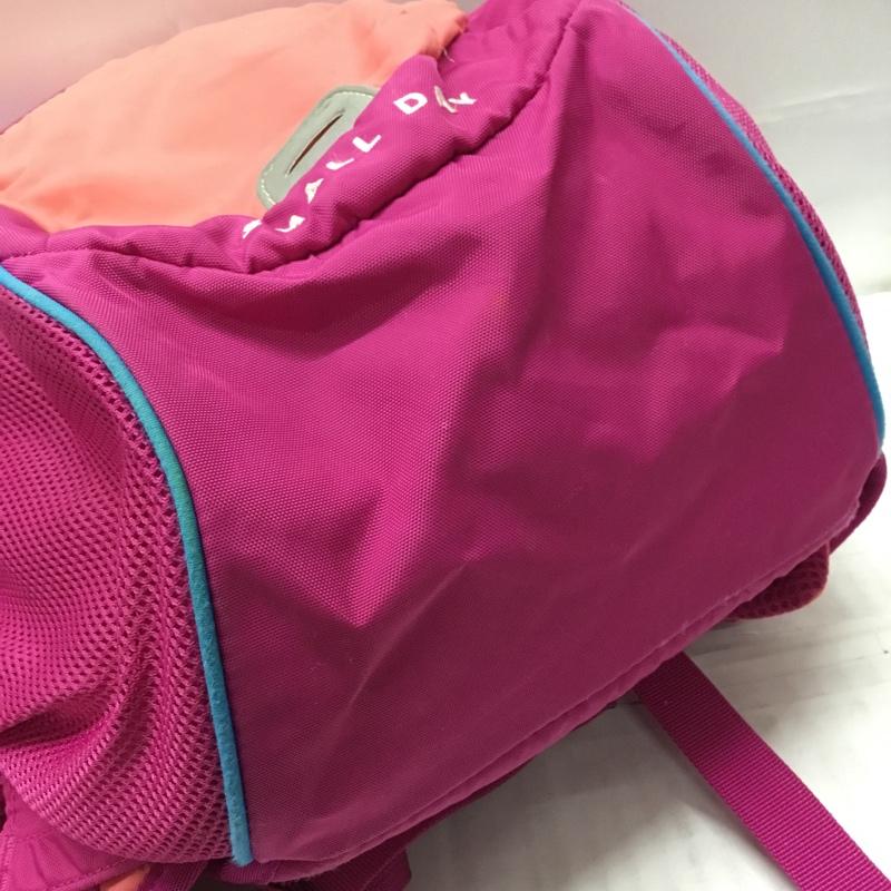ザノースフェイス THE NORTH FACE バッグ バッグ NMJ71251 SMALL DAY スモールデイ キッズ リュック デイバッグ ロゴ、文字 桃 / ピンク / X 青 / ブルー / X マゼンタ / マゼンタ /  ガールズ USED 古着 中古 10108075